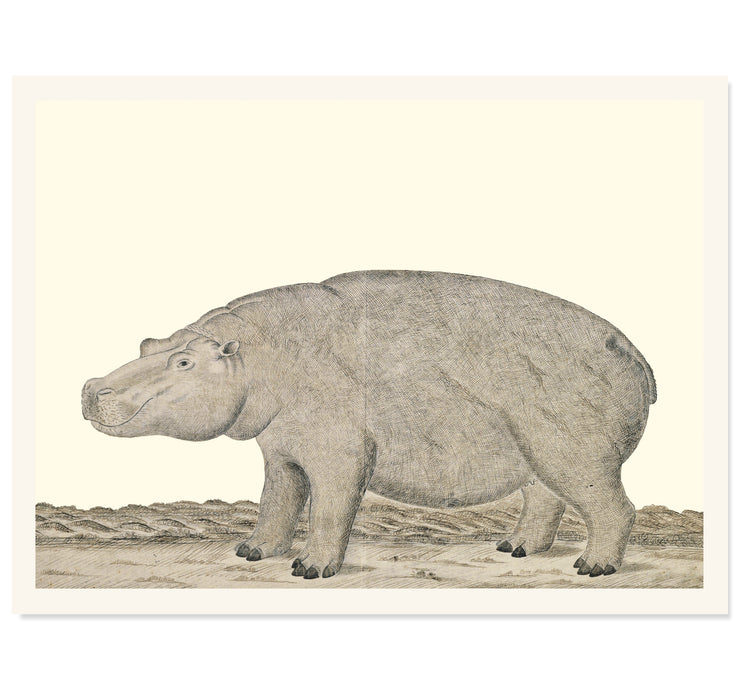 The Hippopotamus Art Print