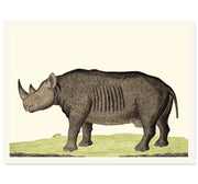The Rhinoceros Art Print