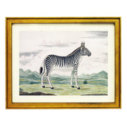 The Zebra Art Print