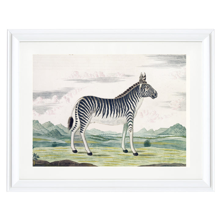 The Zebra Art Print