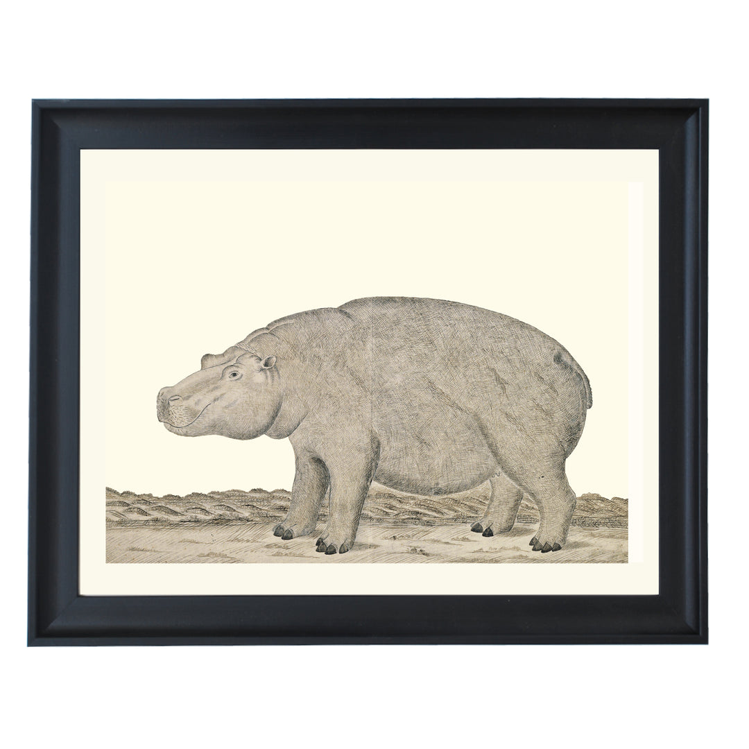 The Hippopotamus Art Print