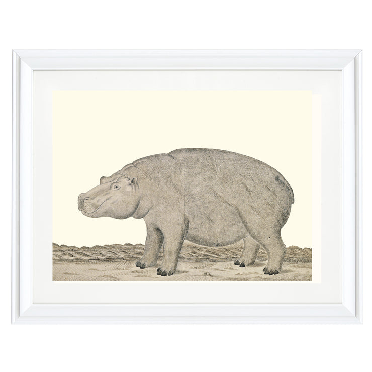 The Hippopotamus Art Print