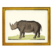 The Rhinoceros Art Print