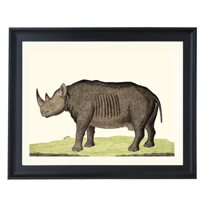 The Rhinoceros Art Print