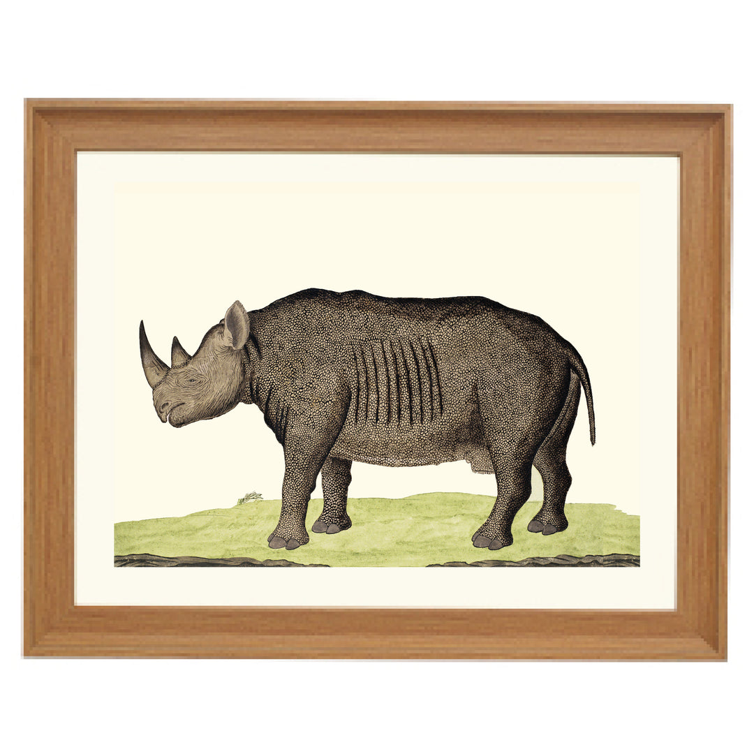 The Rhinoceros Art Print