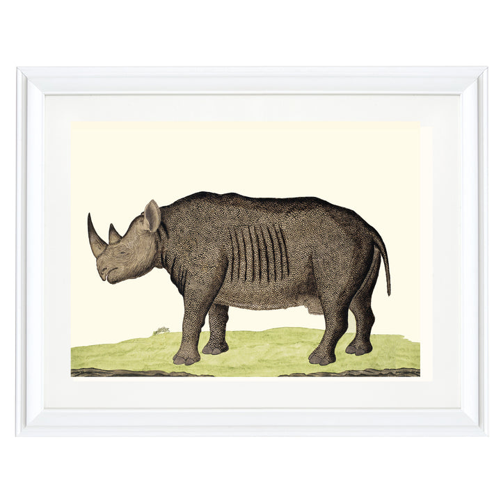 The Rhinoceros Art Print