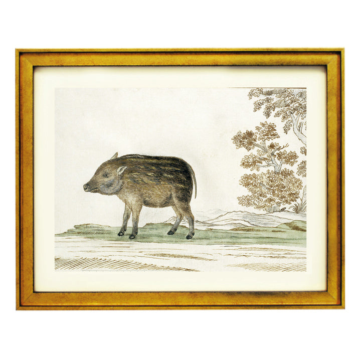 The Wild Boar Art Print