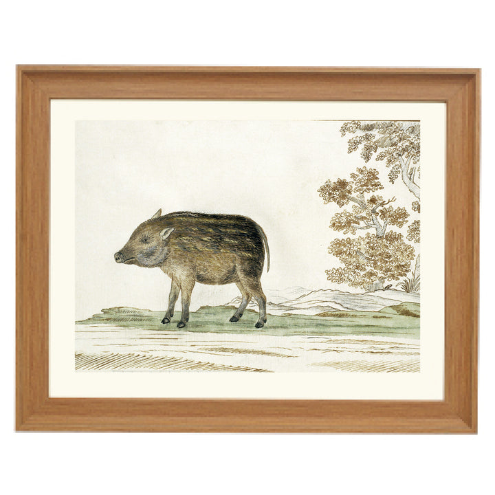 The Wild Boar Art Print