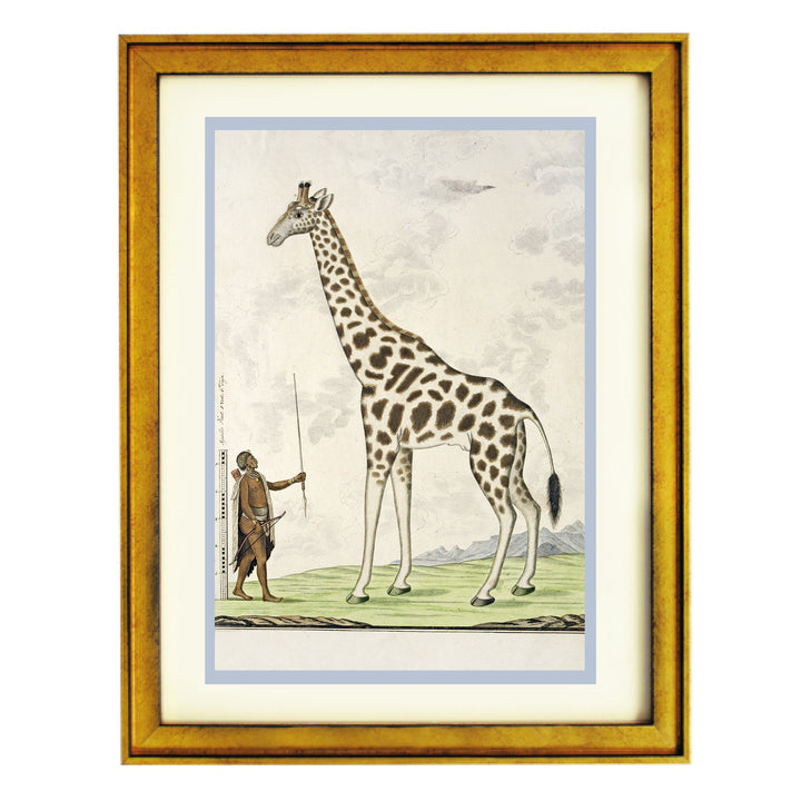 The Giraffe Art Print