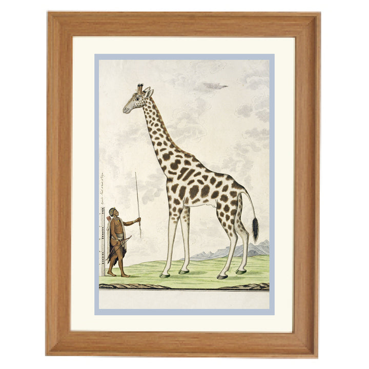 The Giraffe Art Print