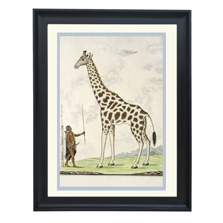 The Giraffe Art Print