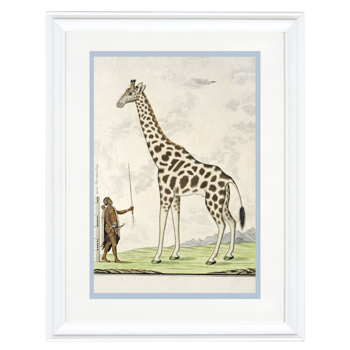 The Giraffe Art Print