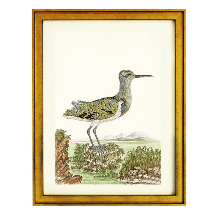 The Seagull Art Print