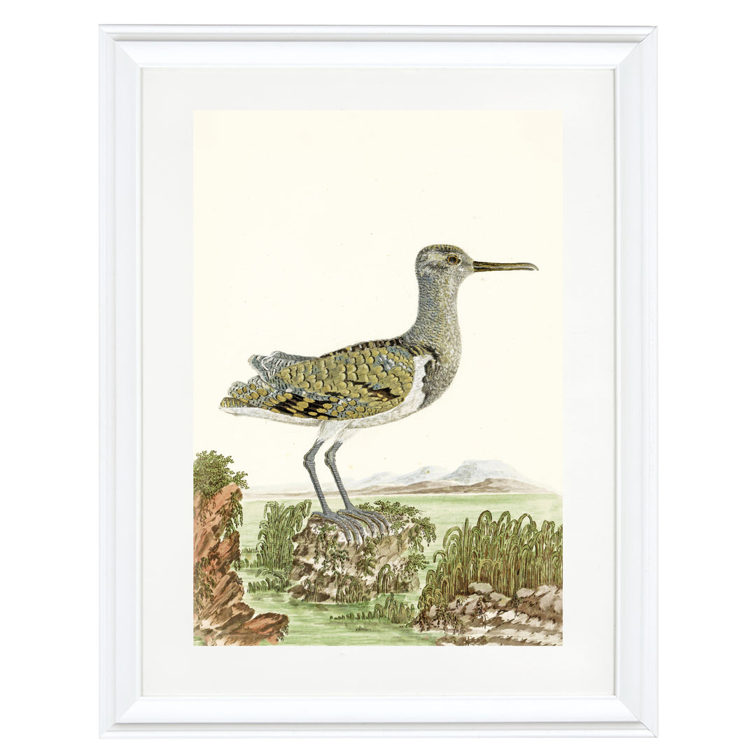 The Seagull Art Print