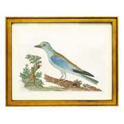 Azure Avian Art Print