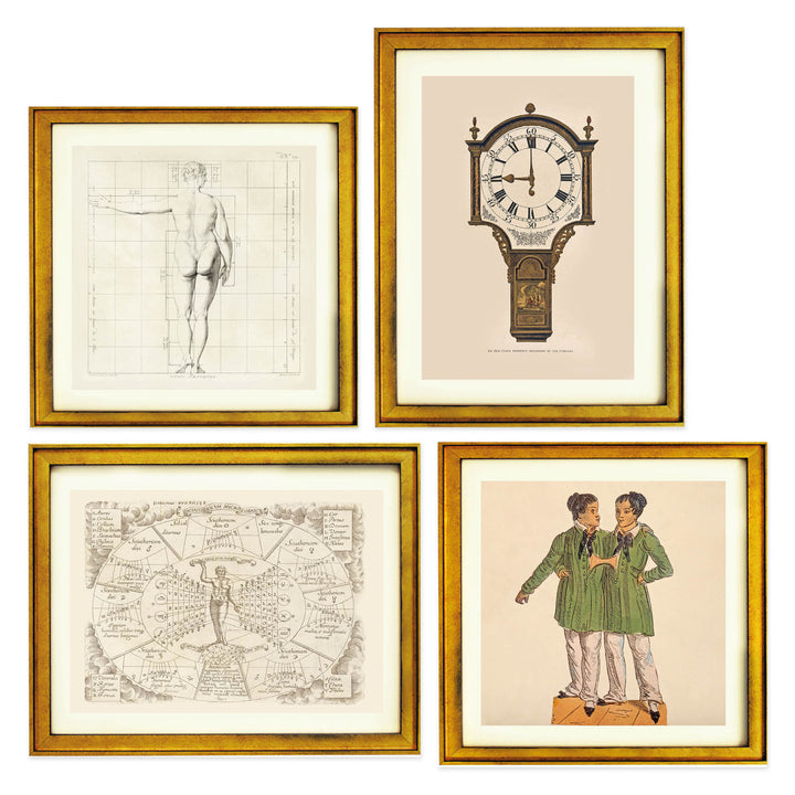 A Cabinet of Curios Collection