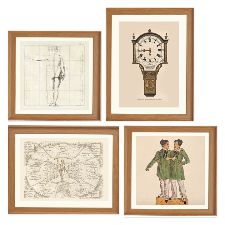 A Cabinet of Curios Collection