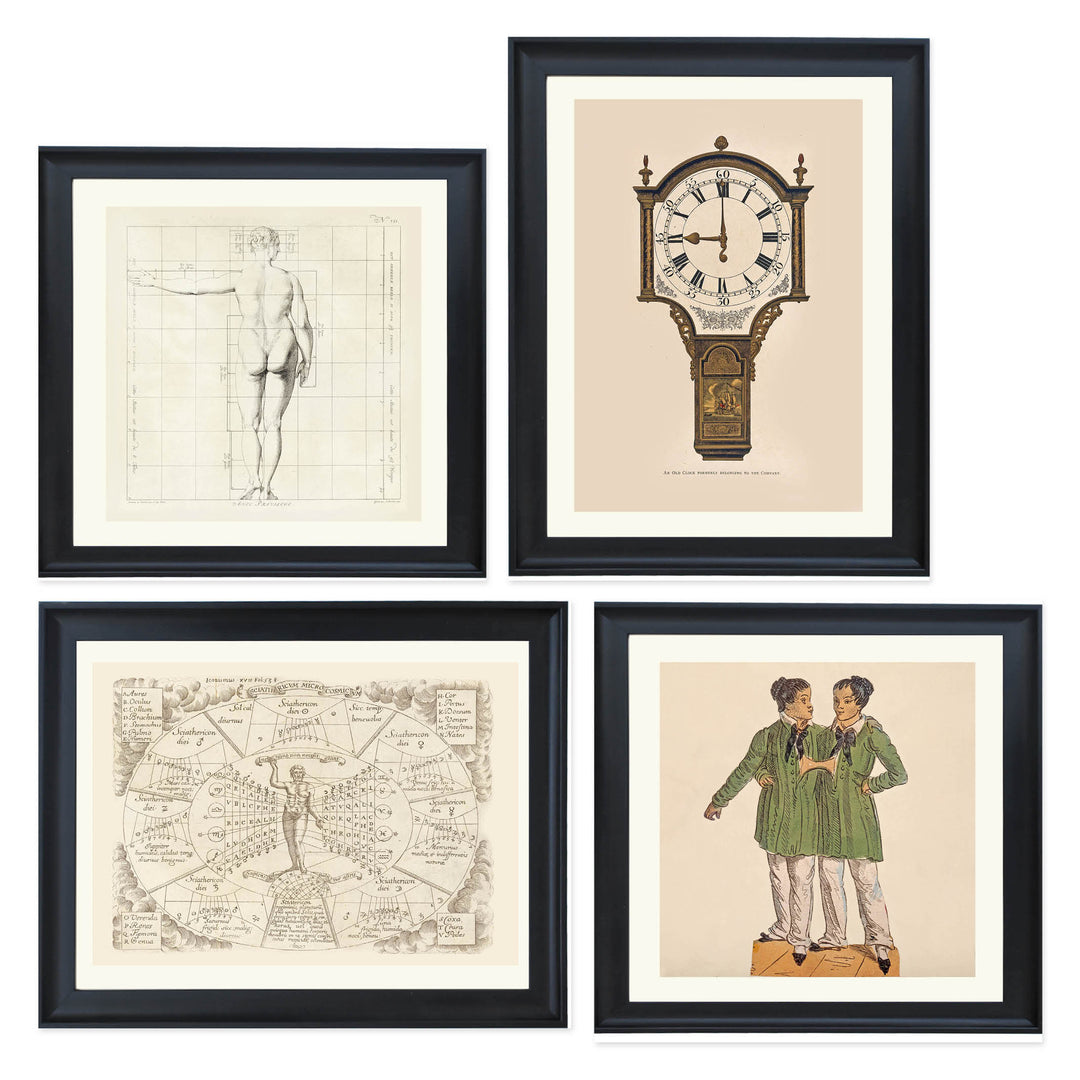 A Cabinet of Curios Collection
