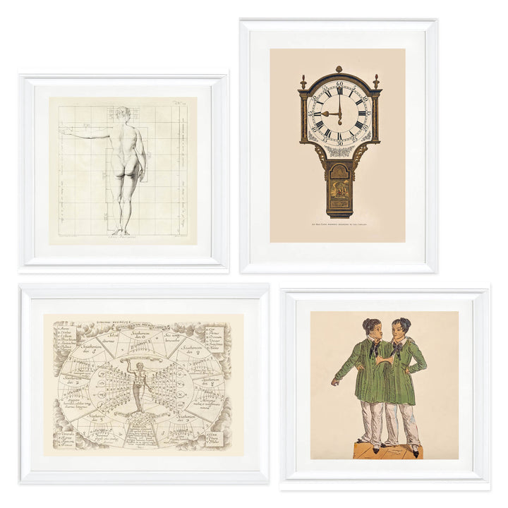 A Cabinet of Curios Collection