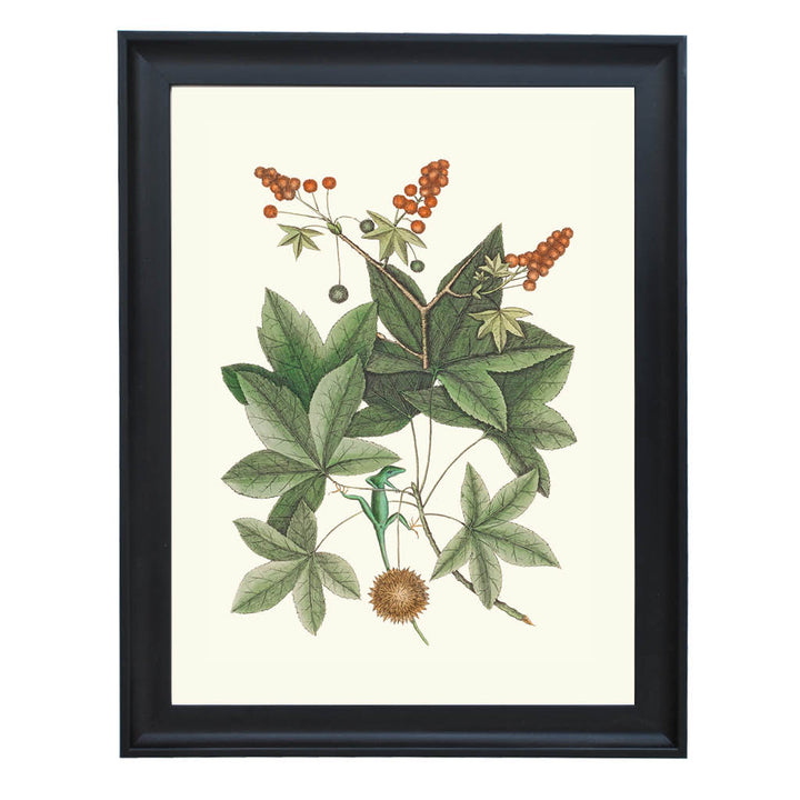 Verdant Harmony Art Print