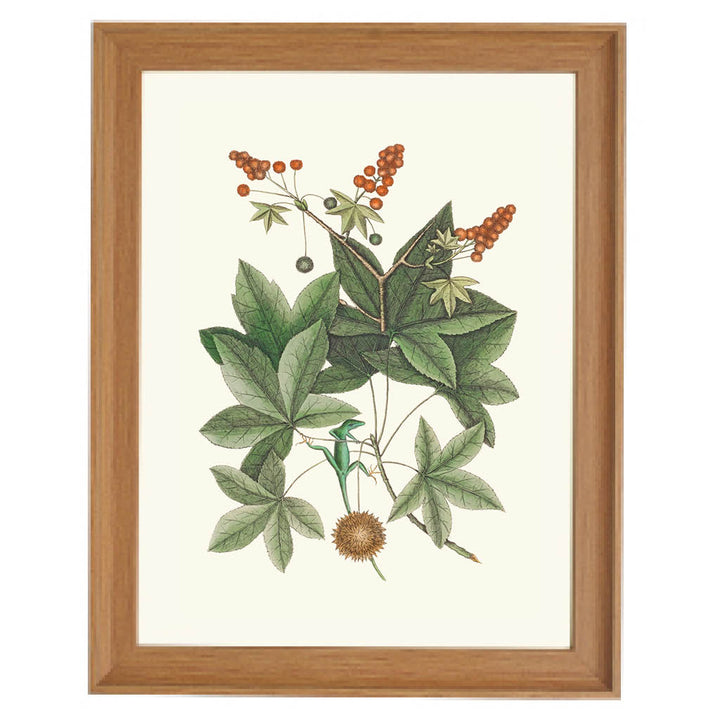 Verdant Harmony Art Print