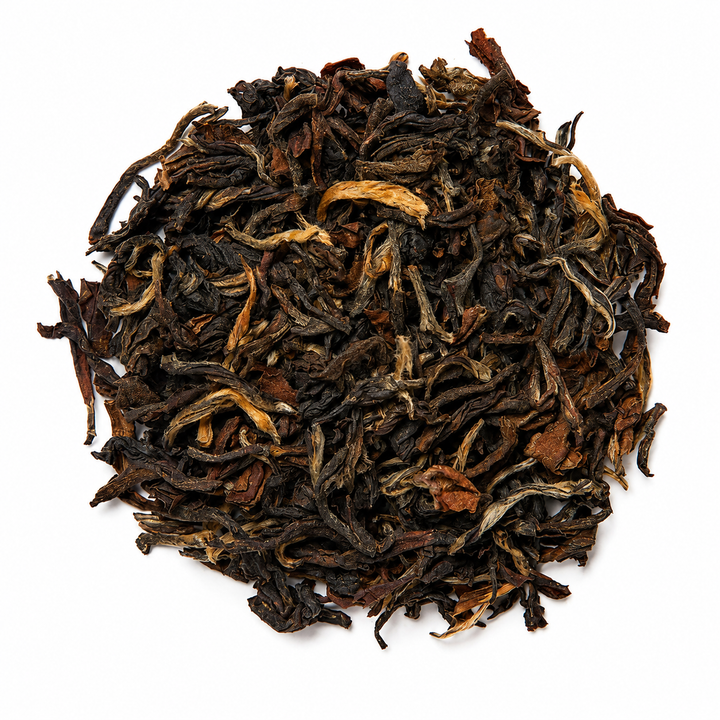 Prime Darjeeling Gourmet Caddy