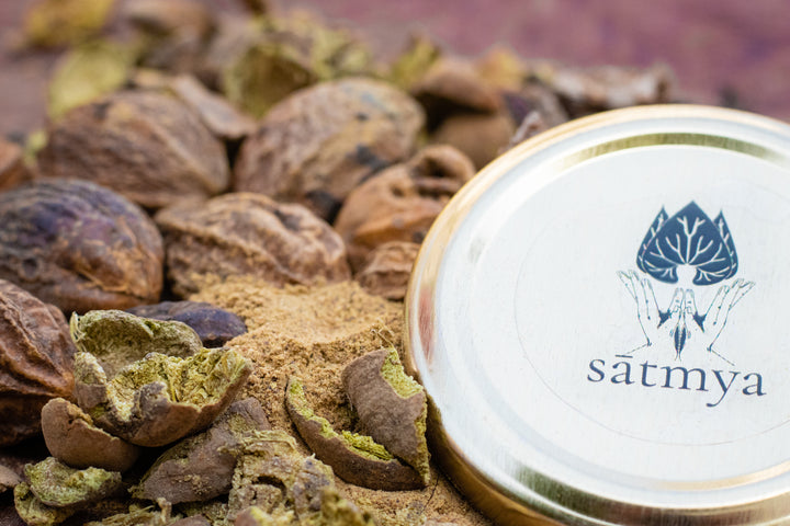 Triphala