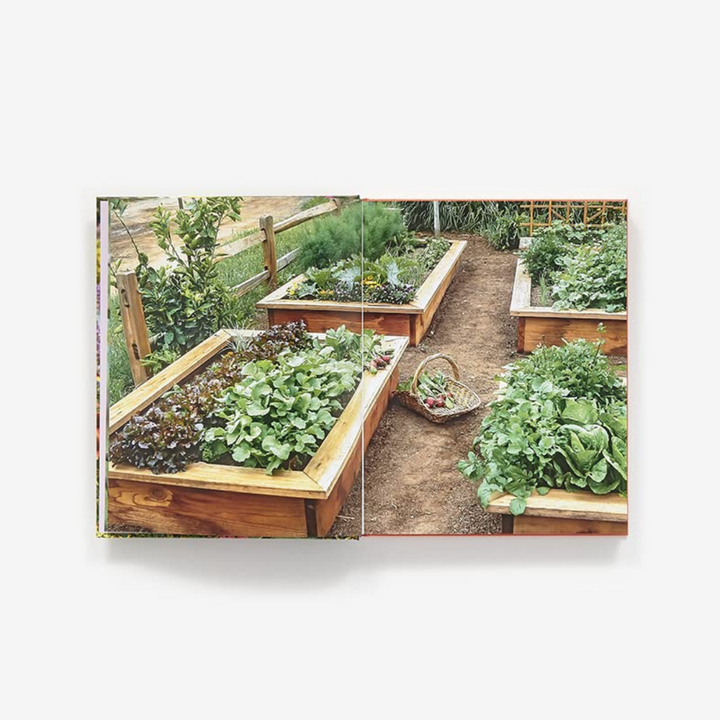 THE HEALTHY GARDEN BOOK : SIMPLE STEPS FOR A GREEN: Simple Steps for a Greener World