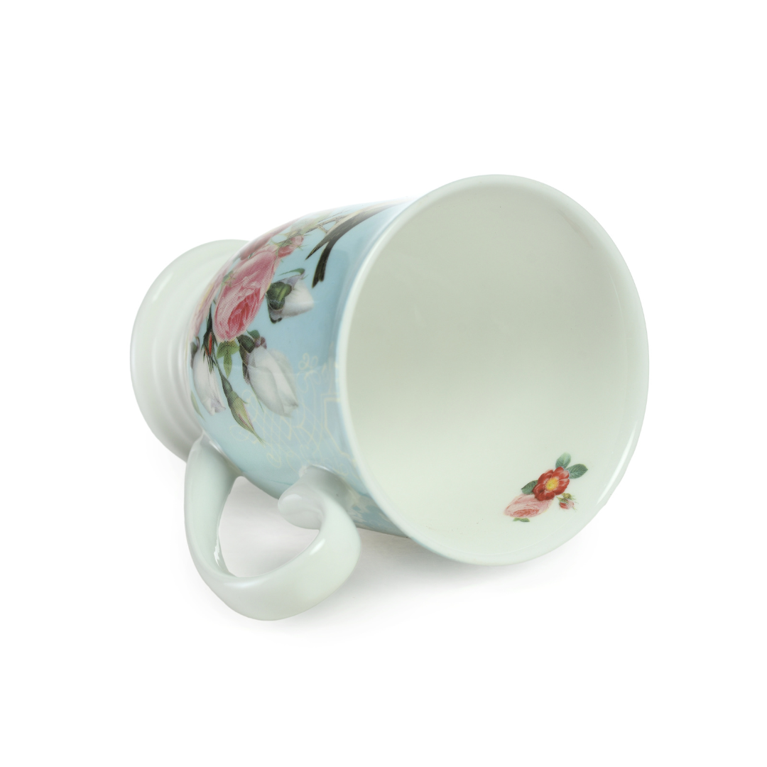 LONG EATON BIRDS - MUGS