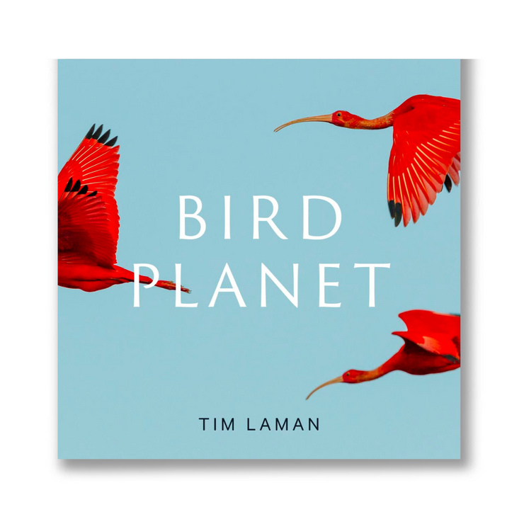 Bird Planet: A Photographic Journey Book