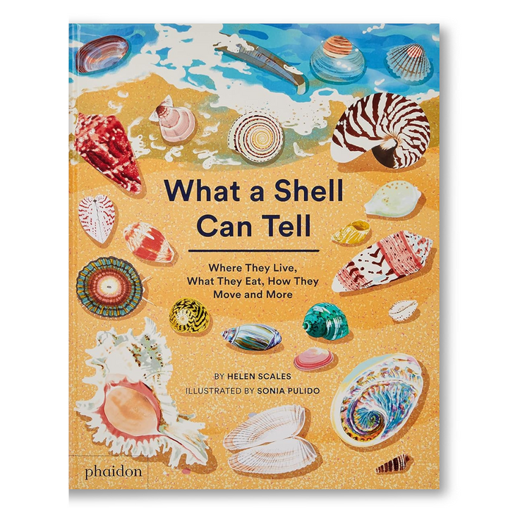 WHAT A SHELL CAN TELL BOOK