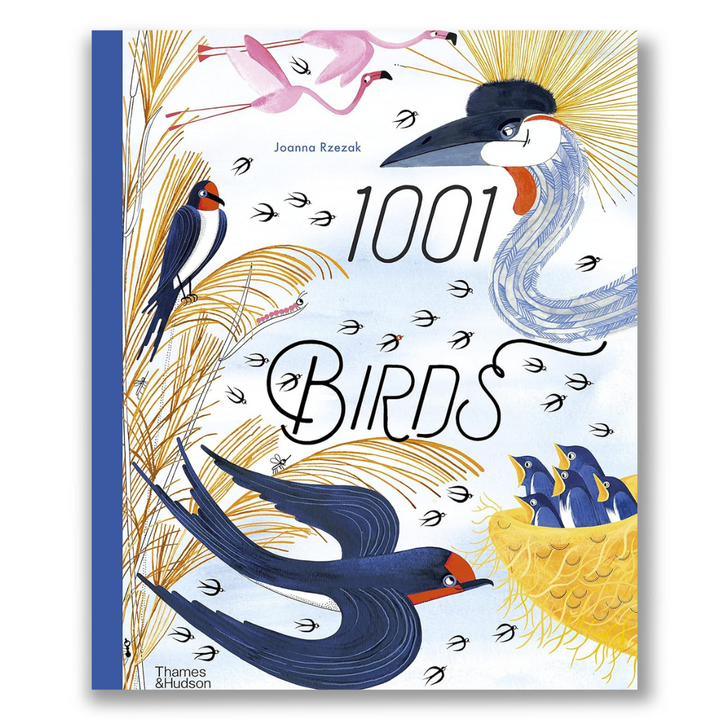 1001 Birds (1001 Series, 4)