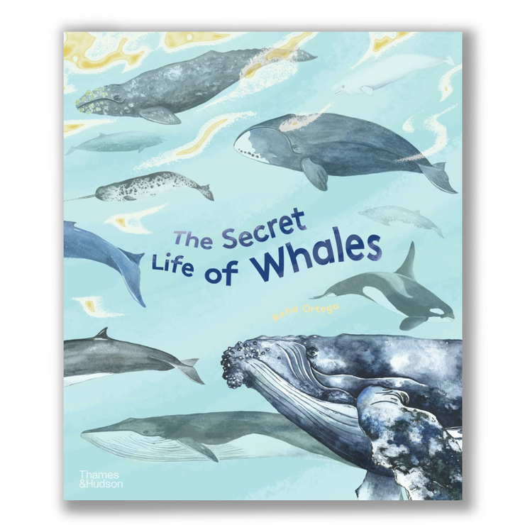 The Secret Life of Whales Book
