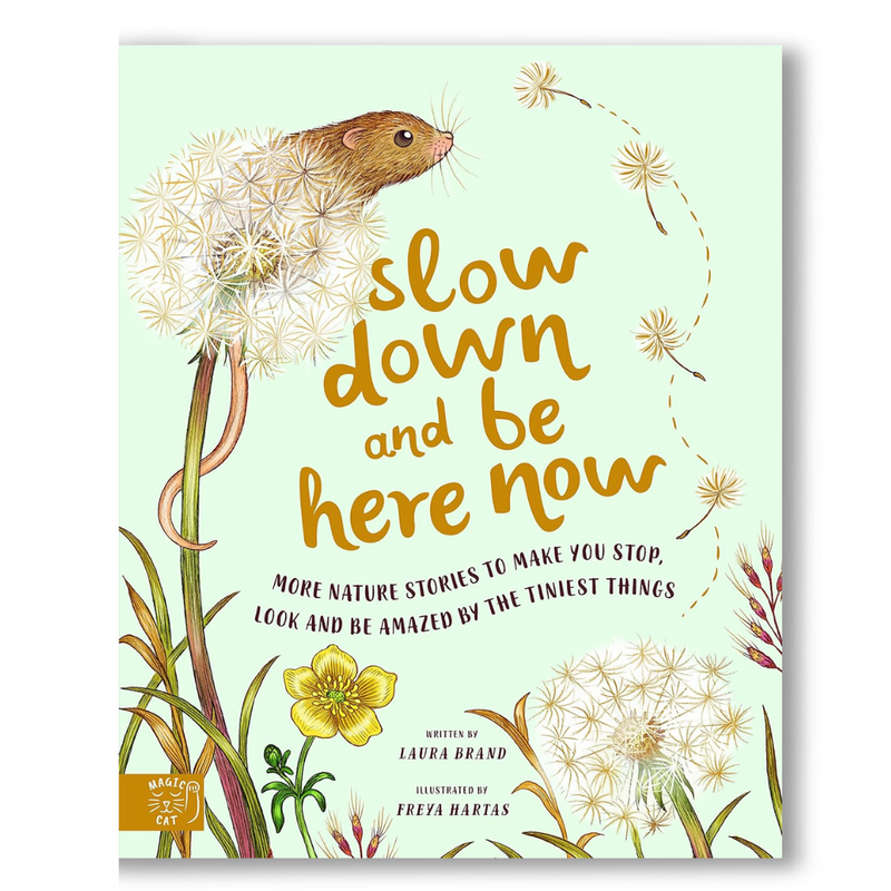 Slow Down and Be Here Now Book