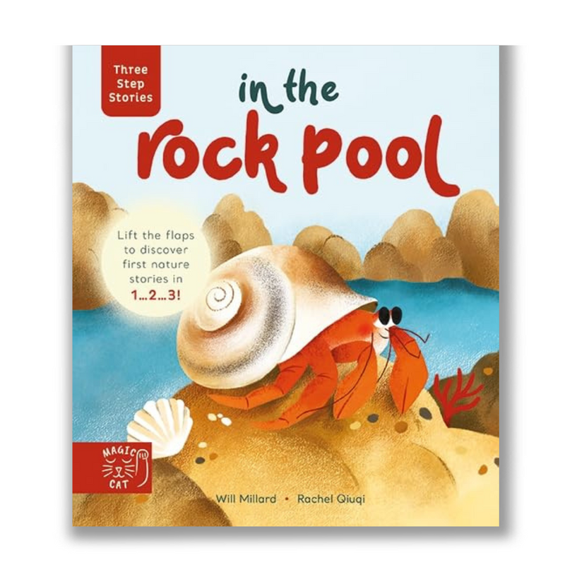 Three Step Stories: In the Rock Pool: Lift the Flaps to Discover First Nature Stories in 1… 2… 3! Book