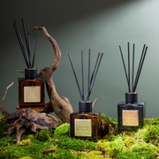 Summertime Cedar - Signature Reed Diffuser