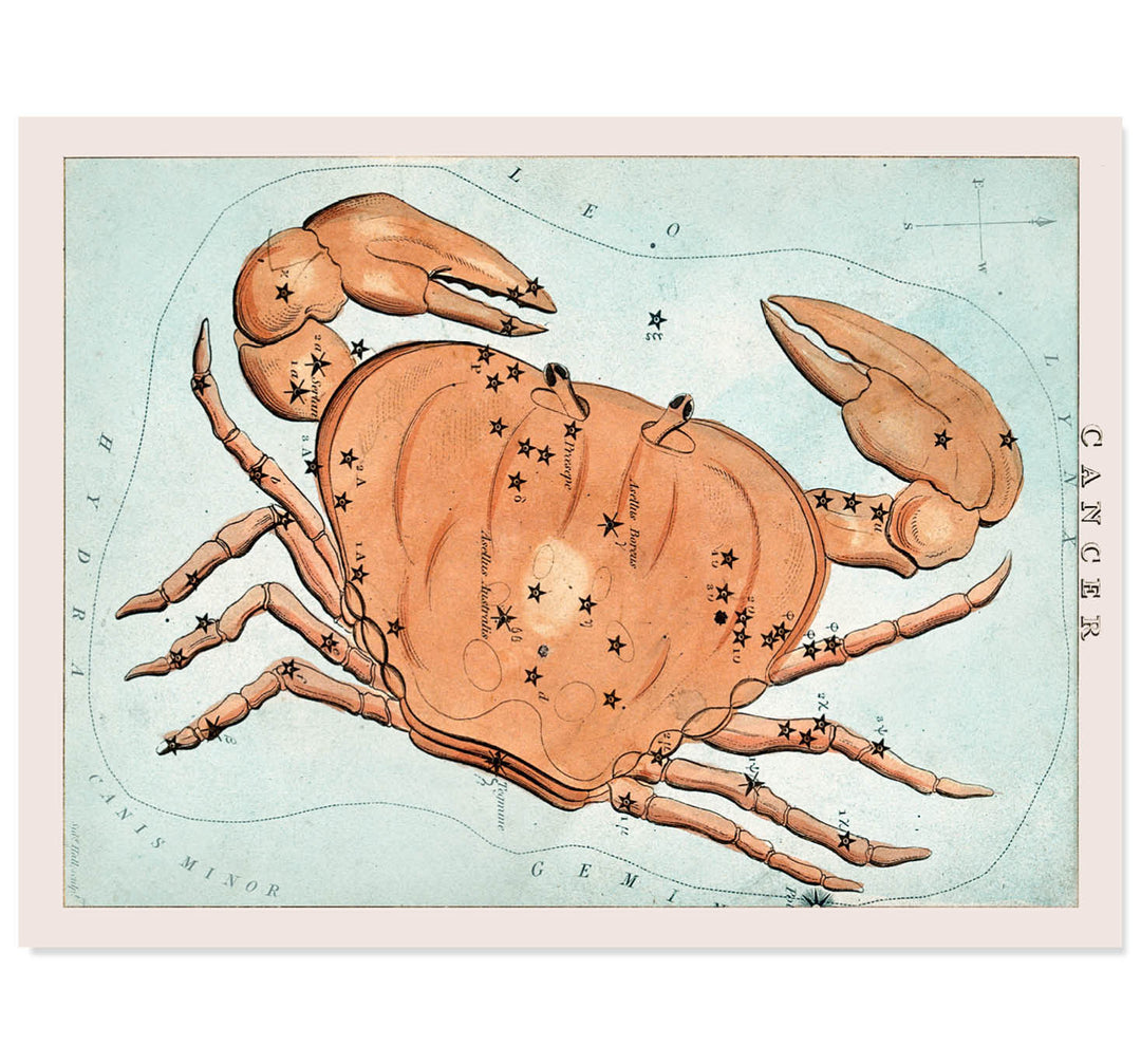 Cancer : The Crab's Embrace Art Print