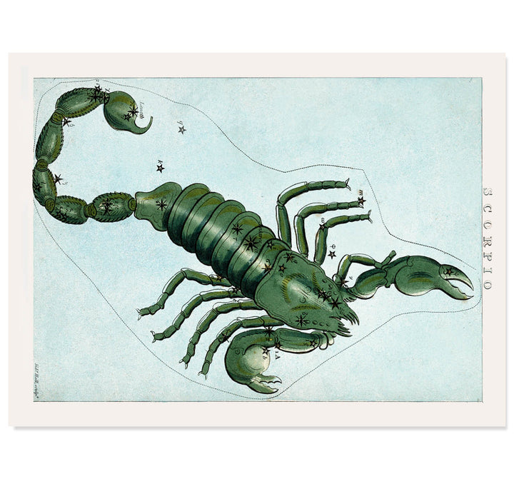 Scorpio : A Portrait of Intensity and Transformation Art Print