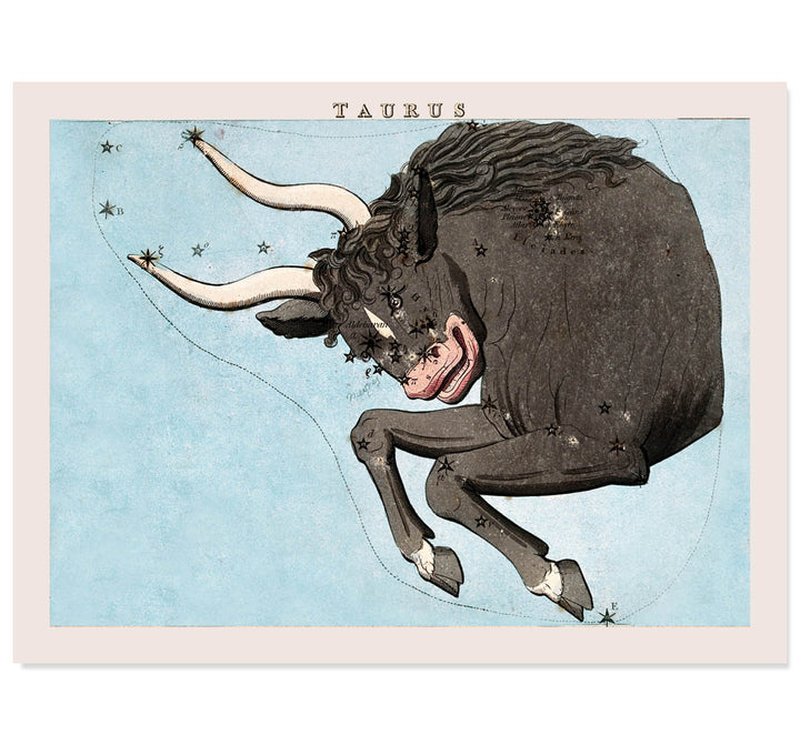 Taurus : A Celestial Portrait of Stability and Strength Art Print