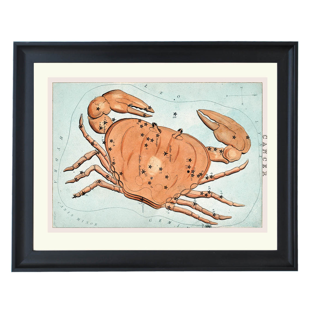 Cancer : The Crab's Embrace Art Print