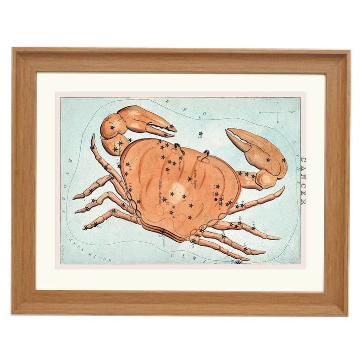 Cancer : The Crab's Embrace Art Print