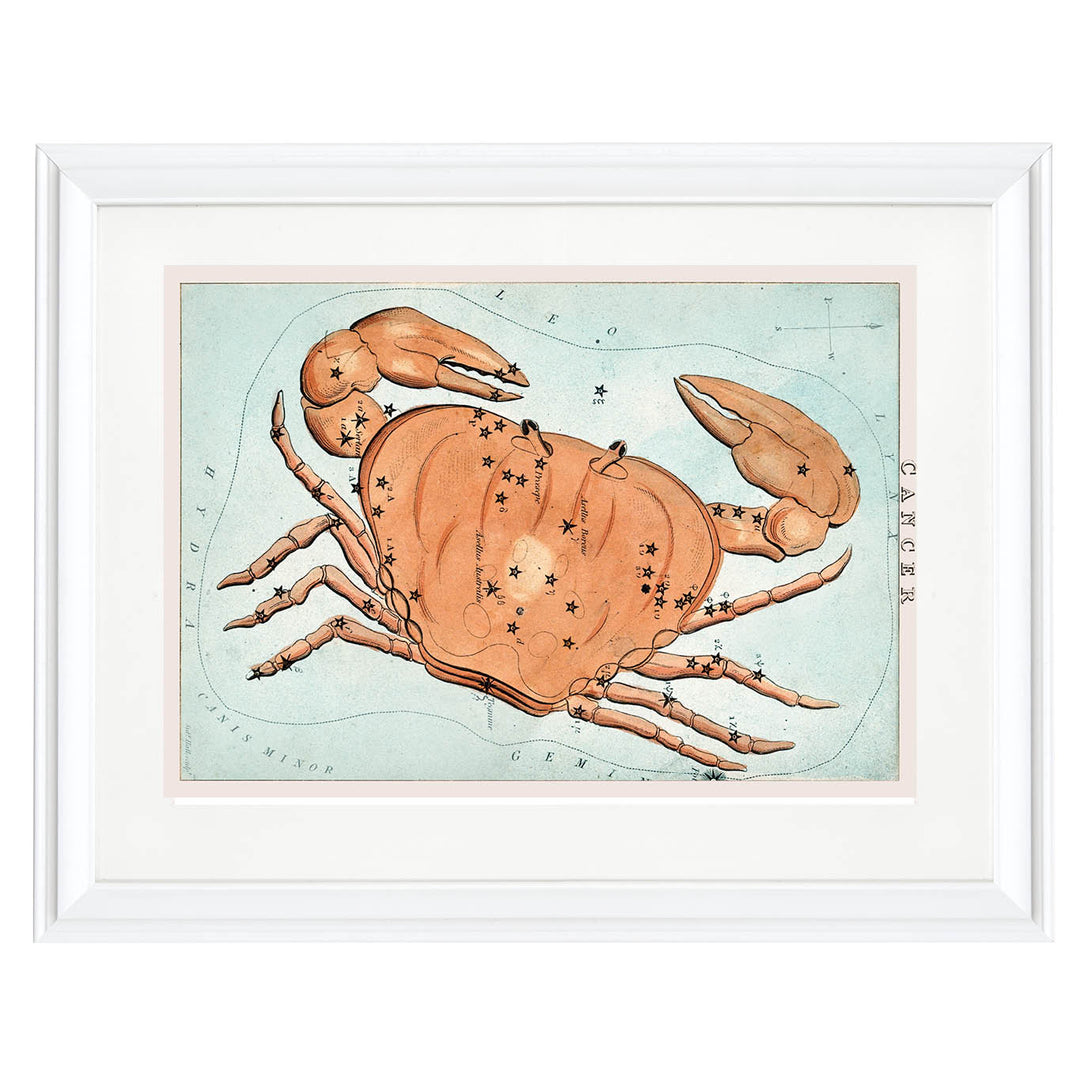 Cancer : The Crab's Embrace Art Print