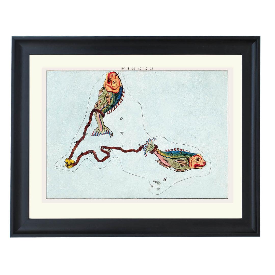 Pisces : The Two Fish Art Print