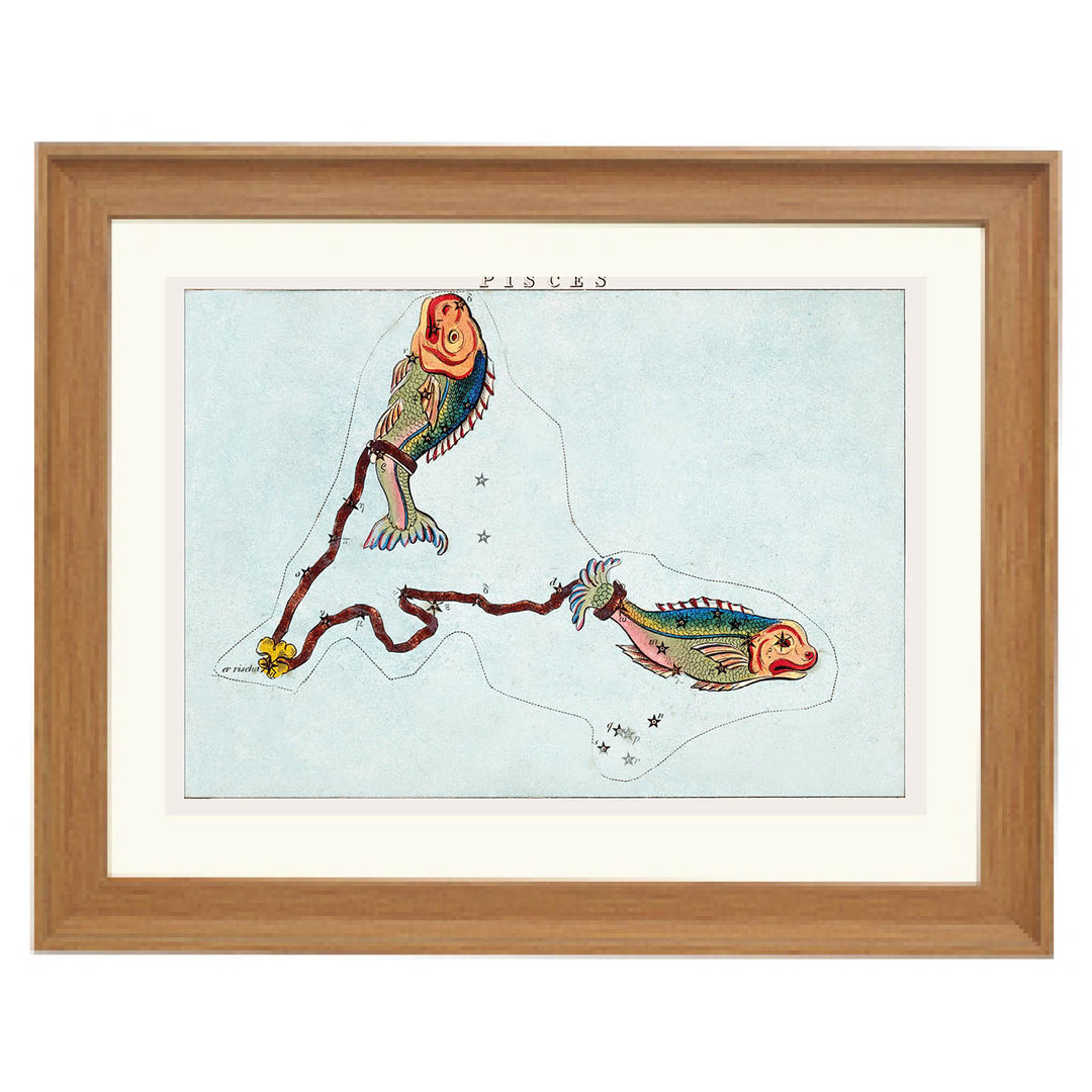 Pisces : The Two Fish Art Print