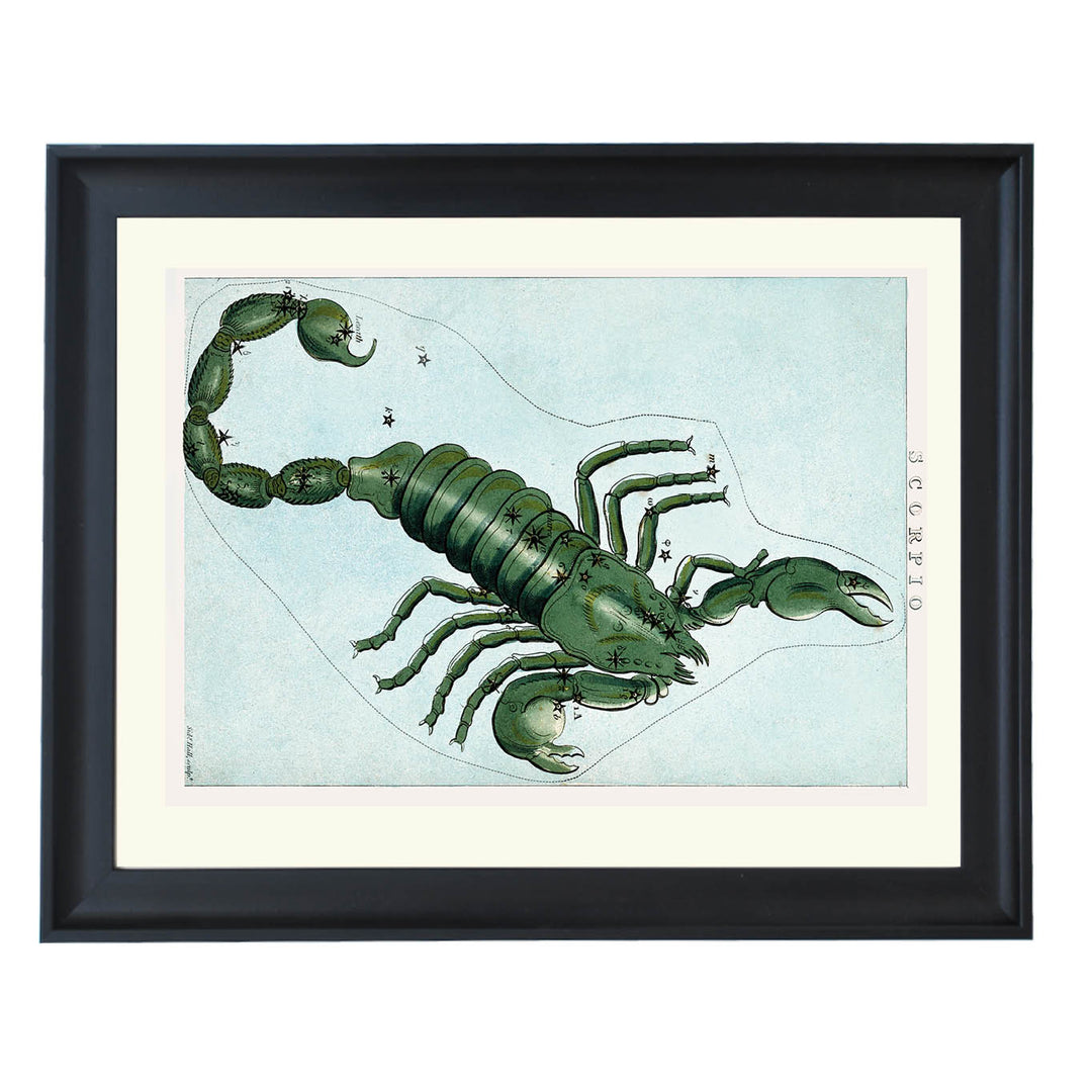 Scorpio : A Portrait of Intensity and Transformation Art Print