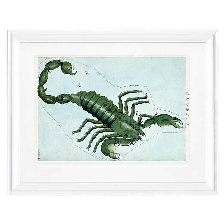 Scorpio : A Portrait of Intensity and Transformation Art Print