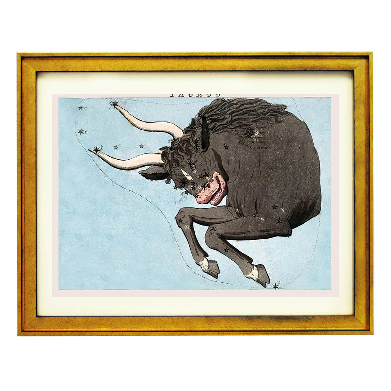 Taurus : A Celestial Portrait of Stability and Strength Art Print