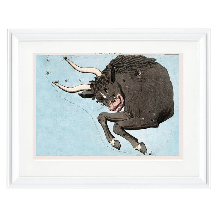 Taurus : A Celestial Portrait of Stability and Strength Art Print