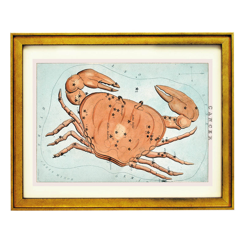 Cancer : The Crab's Embrace Art Print