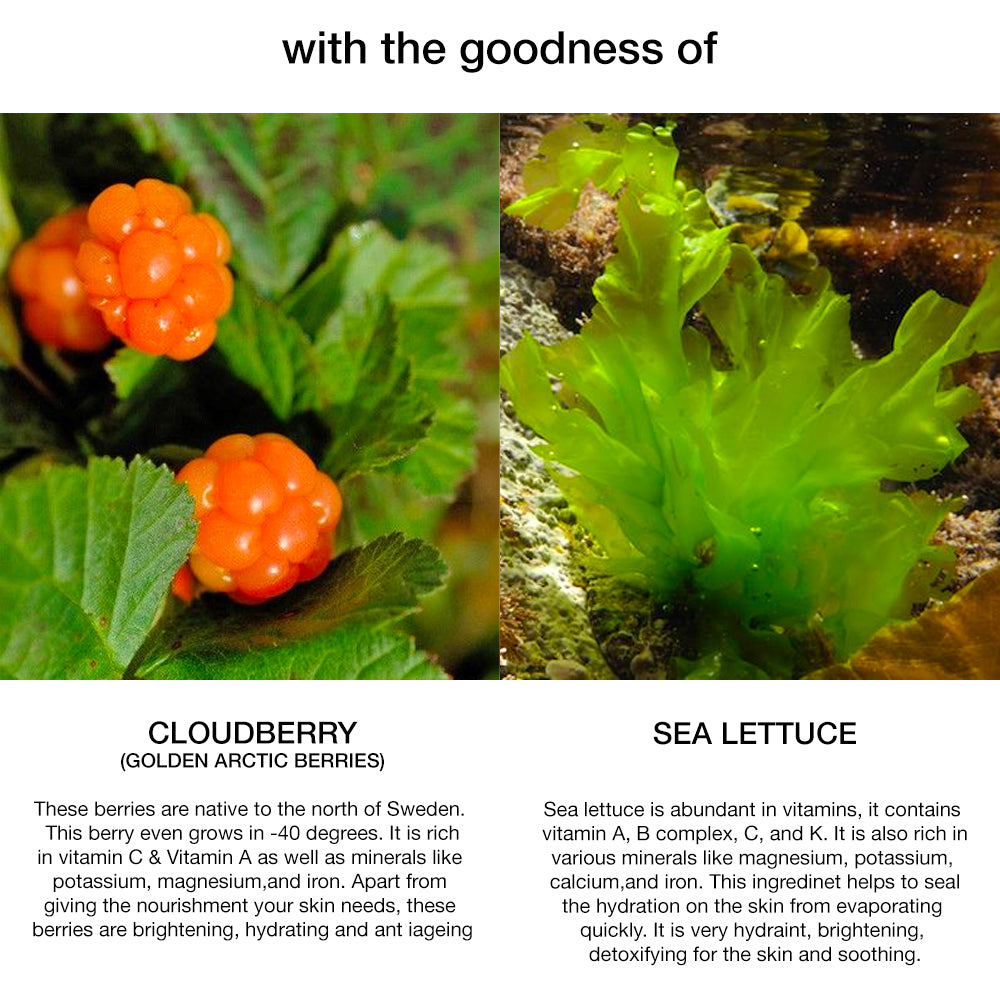 CLOUDBERRY / SEA LETTUCE HYDRATING CREAM